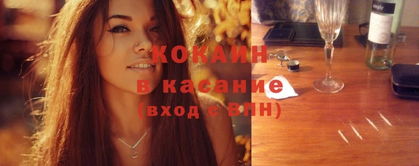 шишки Аркадак