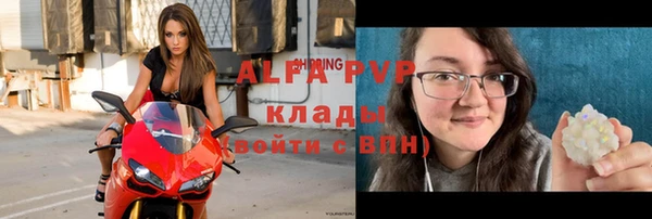 шишки Аркадак