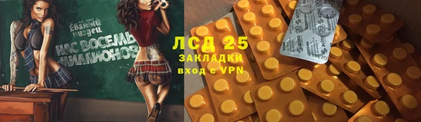 шишки Аркадак