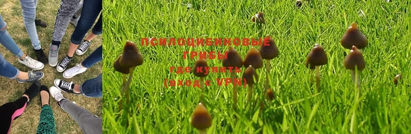 гашиш Няндома
