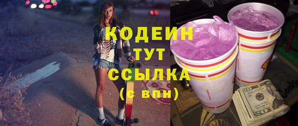 шишки Аркадак