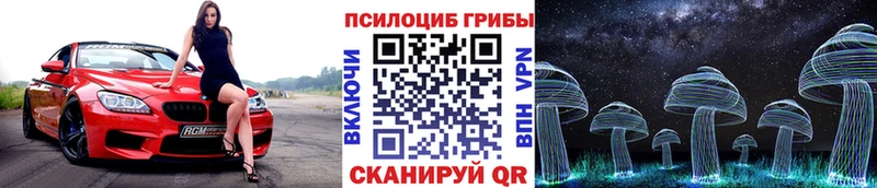 мега зеркало  что такое наркотик  Карачев  Псилоцибиновые грибы Cubensis 